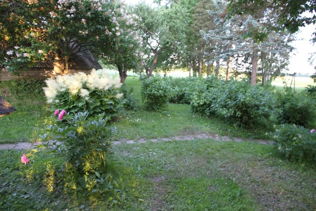 Дома для отпуска Karu Holiday Home Laiusevälja-50